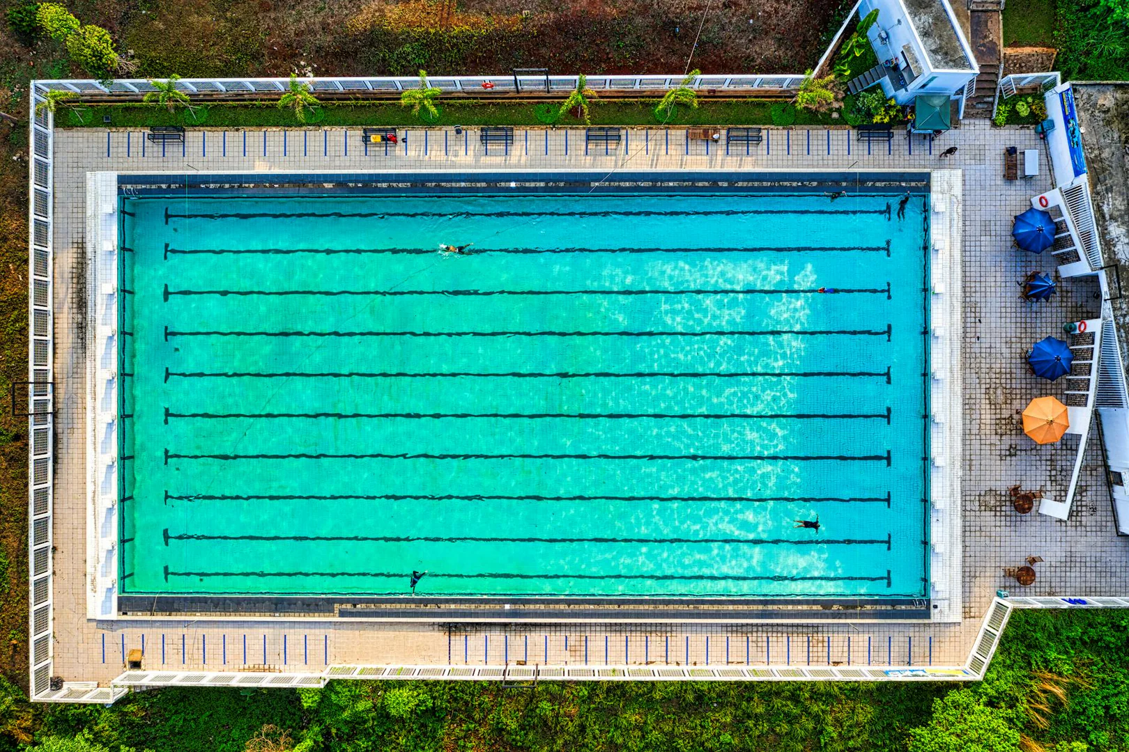 UniPool: A Globally Shared Expert Pool for Mixture-of-Experts
